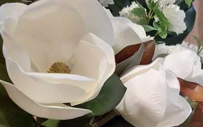 LA NATURALEZA Y LAS PLANTAS EN EL HOGAR