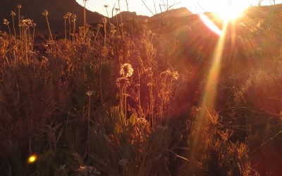 La energía del verano
