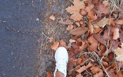 Cambios de estación: la canícula